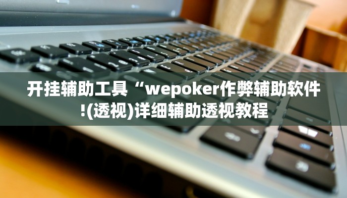 开挂辅助工具“wepoker透视开挂辅助挂(透视 ),难怪经常输有猫腻 (透视)
