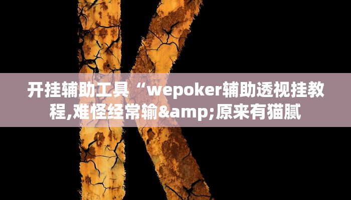 开挂辅助工具“wepoker辅助透视挂教程,难怪经常输&原来有猫腻
