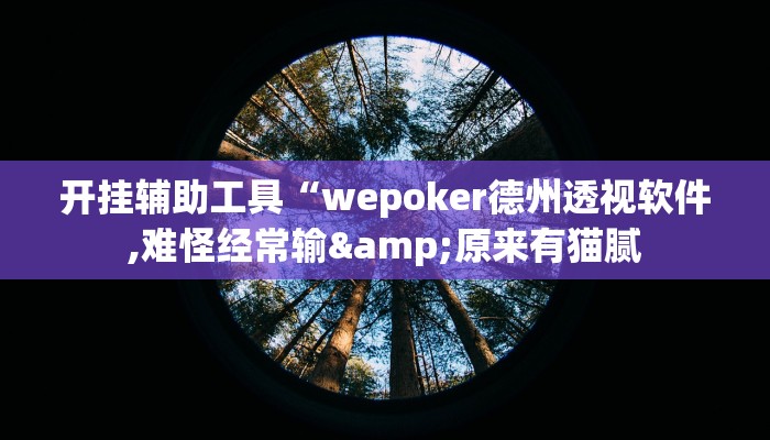 开挂辅助工具“wepoker德州透视软件,难怪经常输&原来有猫腻