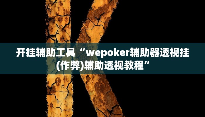 开挂辅助工具“wepoker辅助器透视挂(作弊)辅助透视教程”