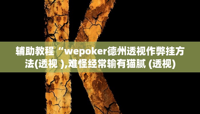 辅助教程“wepoker德州透视作弊挂方法(透视 ),难怪经常输有猫腻 (透视)