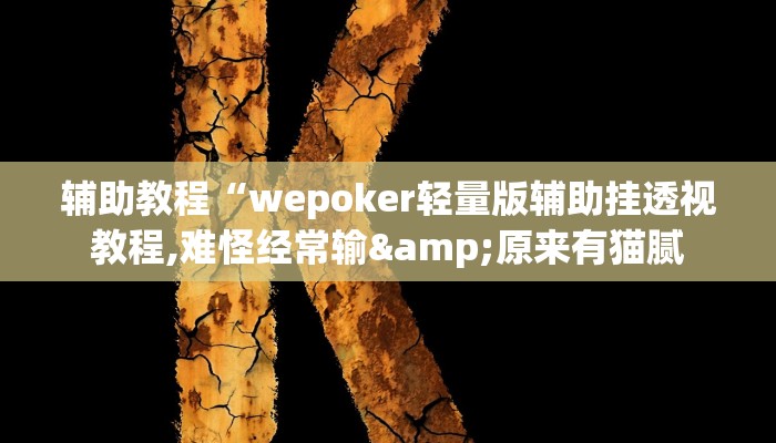 辅助教程“wepoker轻量版辅助挂透视教程,难怪经常输&原来有猫腻