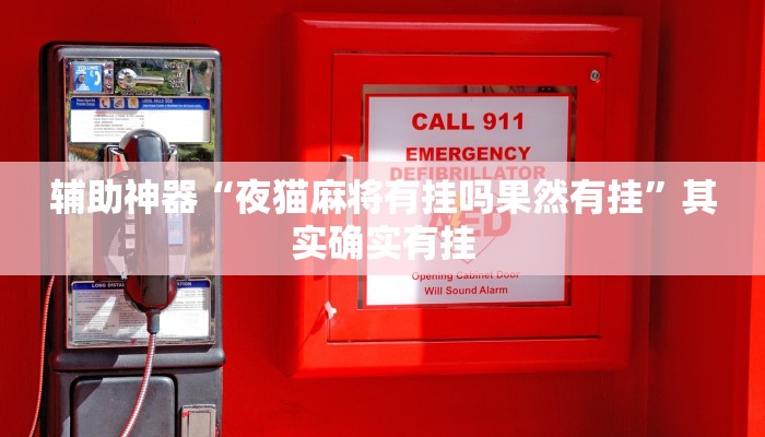 辅助神器“夜猫麻将有挂吗果然有挂”其实确实有挂