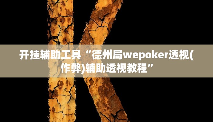 开挂辅助工具“德州局wepoker透视(作弊)辅助透视教程”