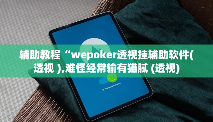 辅助教程“wepoker透视挂辅助软件(透视 ),难怪经常输有猫腻 (透视)