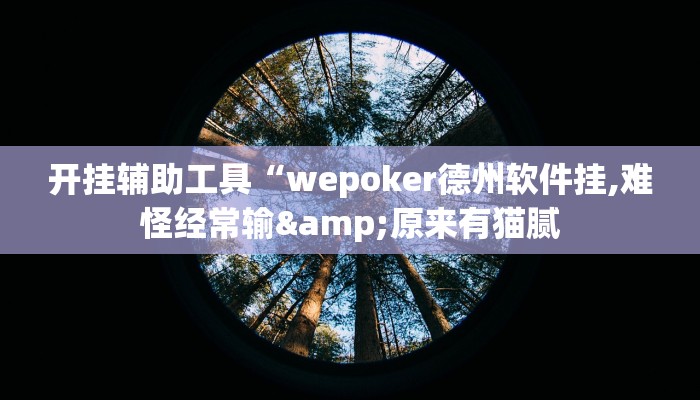 开挂辅助工具“wepoker德州软件挂,难怪经常输&原来有猫腻
