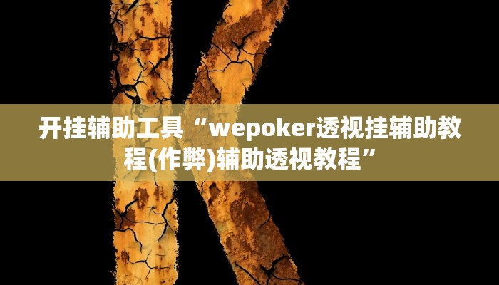 开挂辅助工具“wepoker透视挂辅助教程(作弊)辅助透视教程”