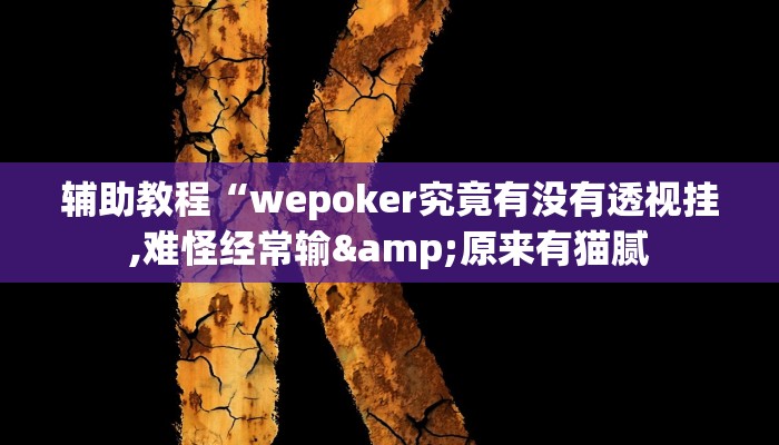 辅助教程“wepoker究竟有没有透视挂,难怪经常输&原来有猫腻