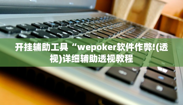 开挂辅助工具“wepoker软件作弊!(透视)详细辅助透视教程
