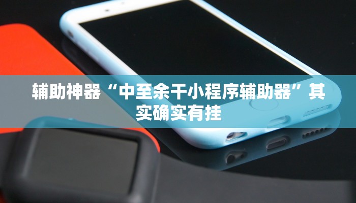 辅助神器“中至余干小程序辅助器”其实确实有挂