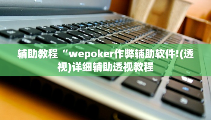 辅助教程“wepoker作弊辅助软件!(透视)详细辅助透视教程
