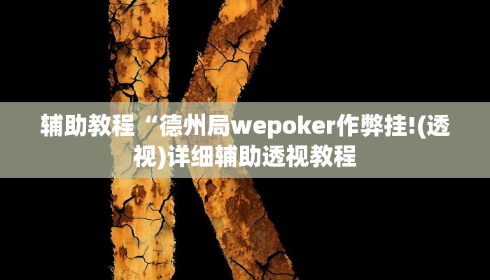 辅助教程“德州局wepoker作弊挂!(透视)详细辅助透视教程