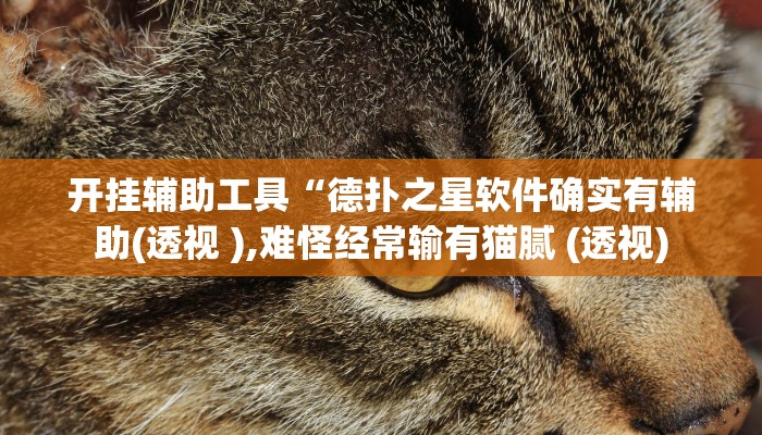 辅助神器“乐山贰柒拾开挂神器”其实确实有挂