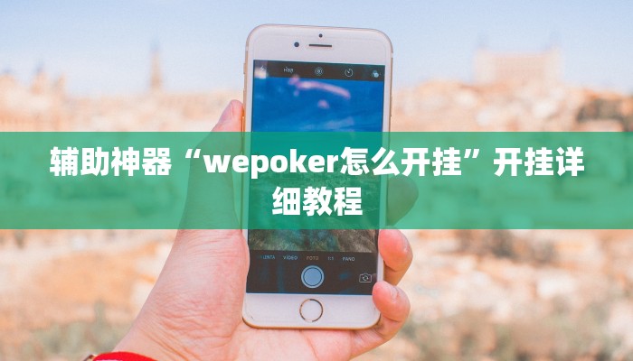 辅助神器“wepoker怎么开挂”开挂详细教程