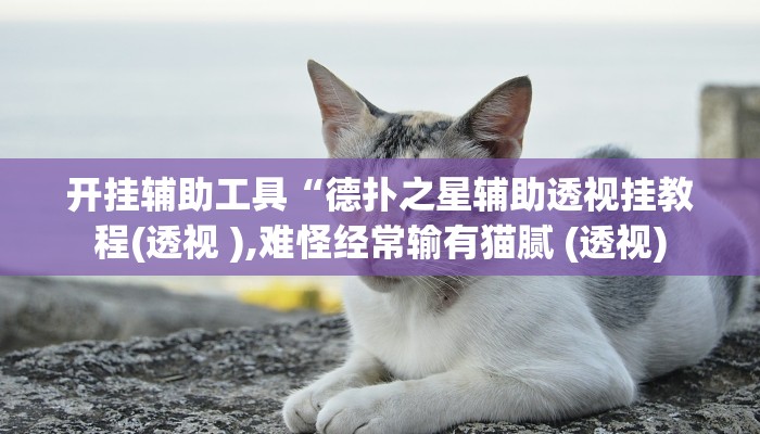 玩家辅助神器:“雀友圈斗地主II确实真的有挂”开挂详细教程