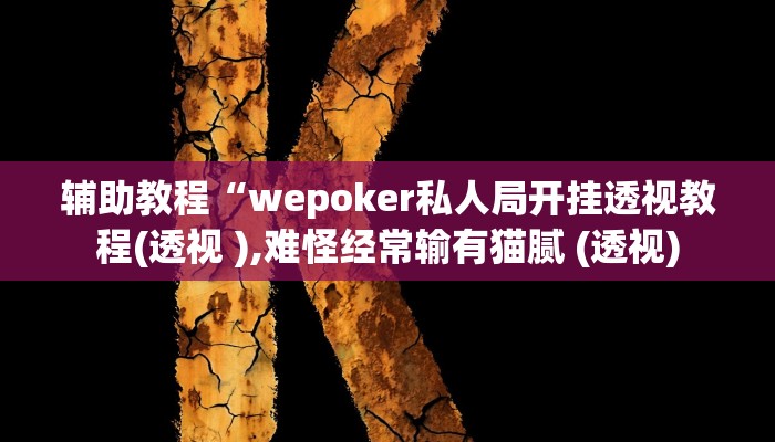 辅助教程“wepoker私人局开挂透视教程(透视 ),难怪经常输有猫腻 (透视)