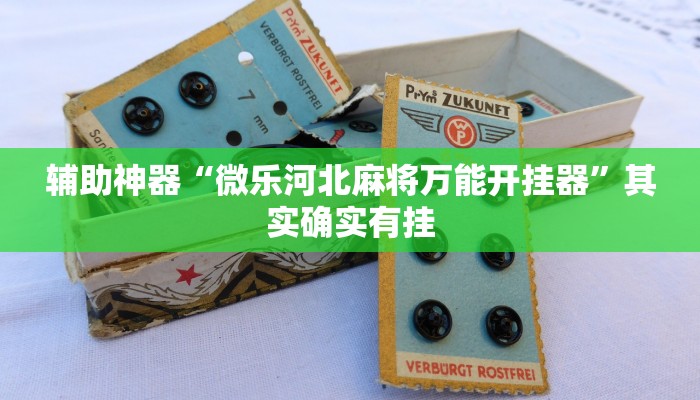 辅助神器“微乐河北麻将万能开挂器”其实确实有挂