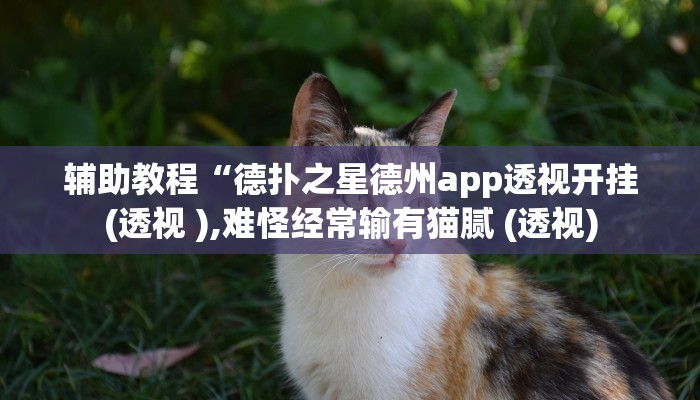 玩家辅助神器:“闲逸碰胡辅助器有用吗”开挂详细教程