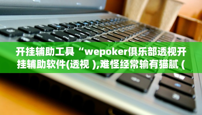 开挂辅助工具“wepoker俱乐部透视开挂辅助软件(透视 ),难怪经常输有猫腻 (透视)