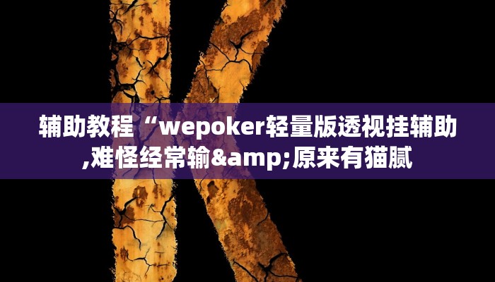 辅助教程“wepoker轻量版透视挂辅助,难怪经常输&原来有猫腻