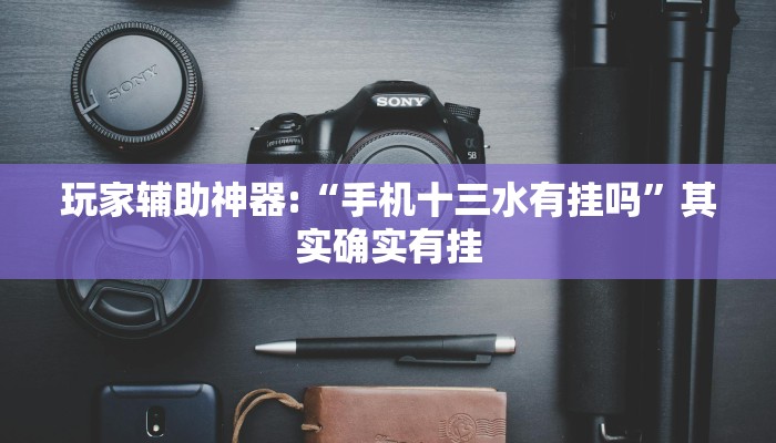 玩家辅助神器:“手机十三水有挂吗”其实确实有挂