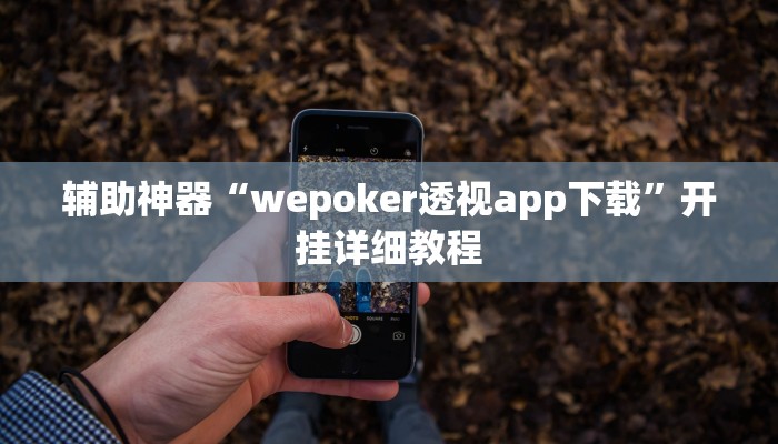 辅助神器“wepoker透视app下载”开挂详细教程
