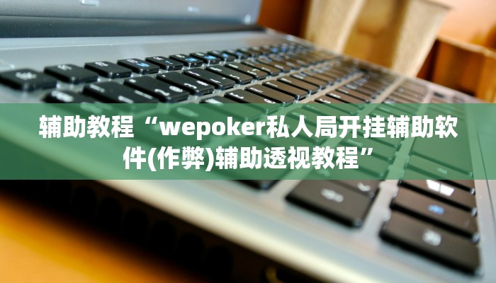 辅助教程“wepoker私人局开挂辅助软件(作弊)辅助透视教程”