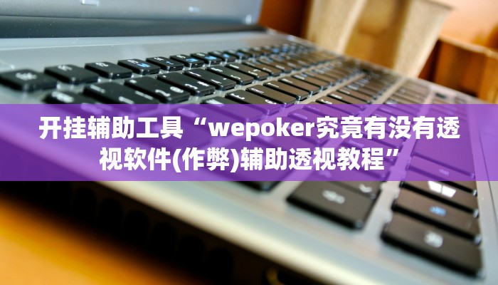 开挂辅助工具“wepoker究竟有没有透视软件(作弊)辅助透视教程”