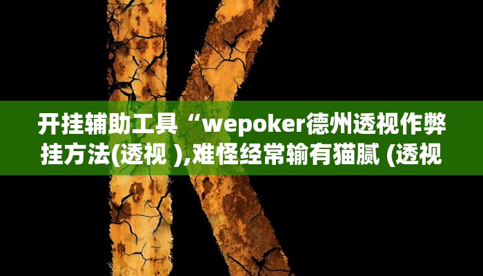开挂辅助工具“wepoker德州透视作弊挂方法(透视 ),难怪经常输有猫腻 (透视)