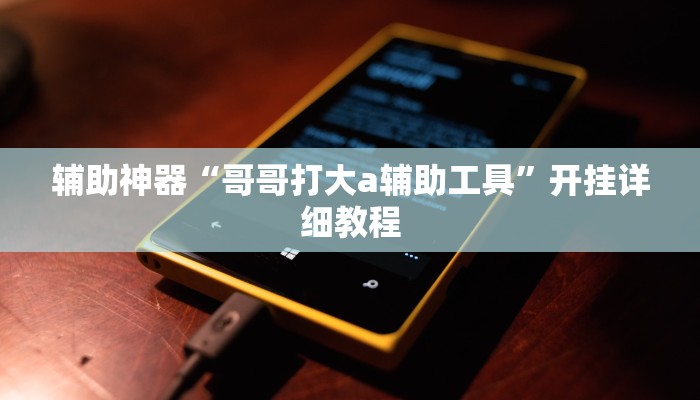 辅助神器“哥哥打大a辅助工具”开挂详细教程