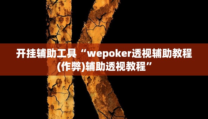 开挂辅助工具“wepoker透视辅助教程(作弊)辅助透视教程”