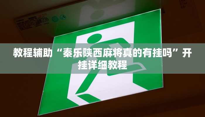 辅助神器“陕麻圈开挂神器”开挂详细教程