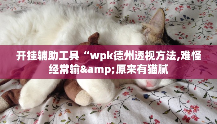 开挂辅助工具“wpk德州透视方法,难怪经常输&原来有猫腻