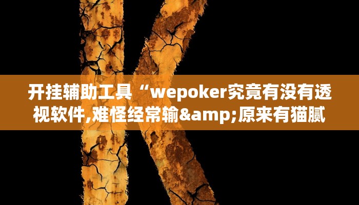 开挂辅助工具“wepoker究竟有没有透视软件,难怪经常输&原来有猫腻