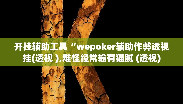 开挂辅助工具“wepoker辅助作弊透视挂(透视 ),难怪经常输有猫腻 (透视)