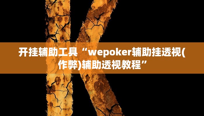 开挂辅助工具“wepoker辅助挂透视(作弊)辅助透视教程”