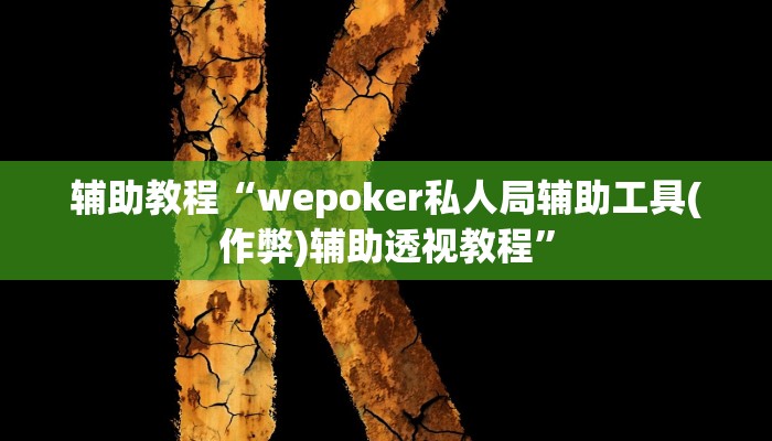 辅助教程“wepoker私人局辅助工具(作弊)辅助透视教程”