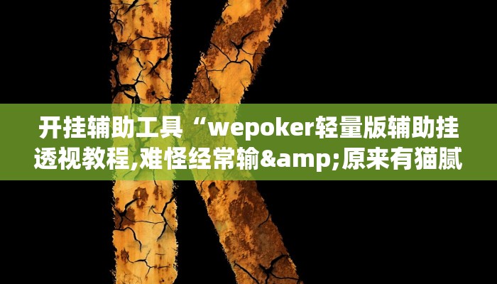 开挂辅助工具“wepoker轻量版辅助挂透视教程,难怪经常输&原来有猫腻