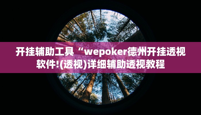 开挂辅助工具“wepoker透视挂辅助软件!(透视)详细辅助透视教程