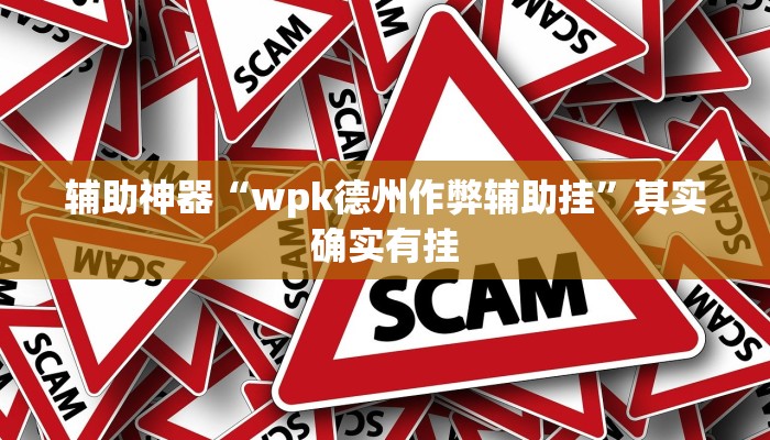 辅助神器“wpk德州作弊辅助挂”其实确实有挂