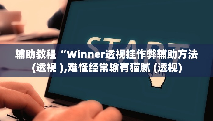 辅助教程“Winner透视挂作弊辅助方法(透视 ),难怪经常输有猫腻 (透视)