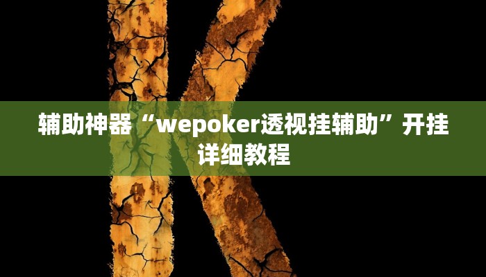 辅助神器“wepoker透视挂辅助”开挂详细教程