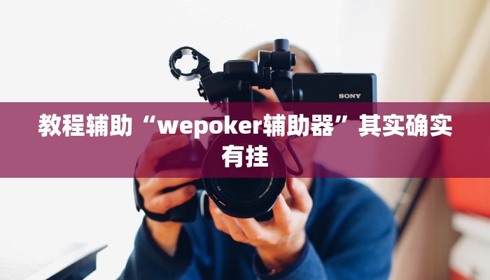 教程辅助“wepoker辅助器”其实确实有挂