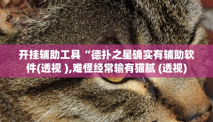 开挂辅助工具“德扑之星确实有辅助软件(透视 ),难怪经常输有猫腻 (透视)