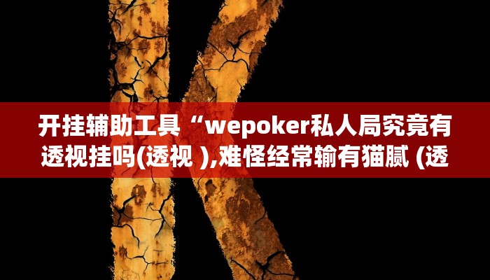 开挂辅助工具“wepoker私人局究竟有透视挂吗(透视 ),难怪经常输有猫腻 (透视)