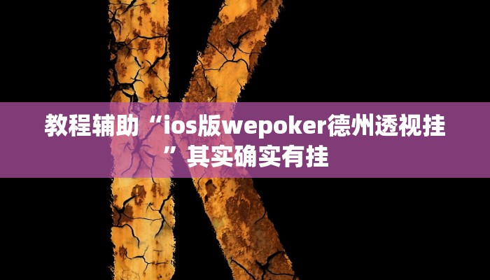 教程辅助“ios版wepoker德州透视挂”其实确实有挂