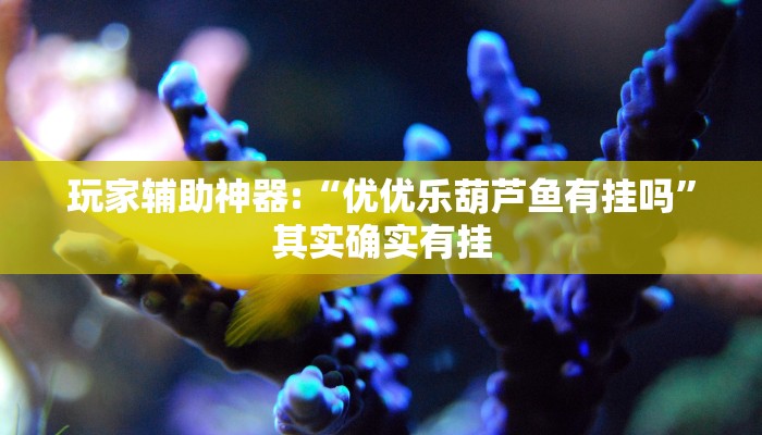 玩家辅助神器:“优优乐葫芦鱼有挂吗”其实确实有挂