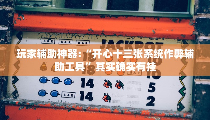 玩家辅助神器:“微乐锄大地透视挂视频教程”其实确实有挂