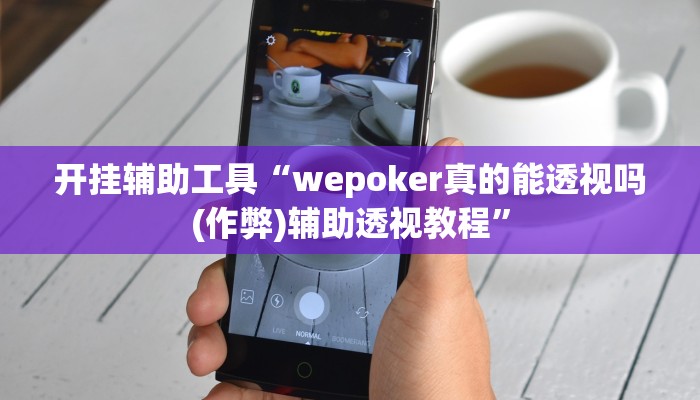 开挂辅助工具“wepoker真的能透视吗(作弊)辅助透视教程”