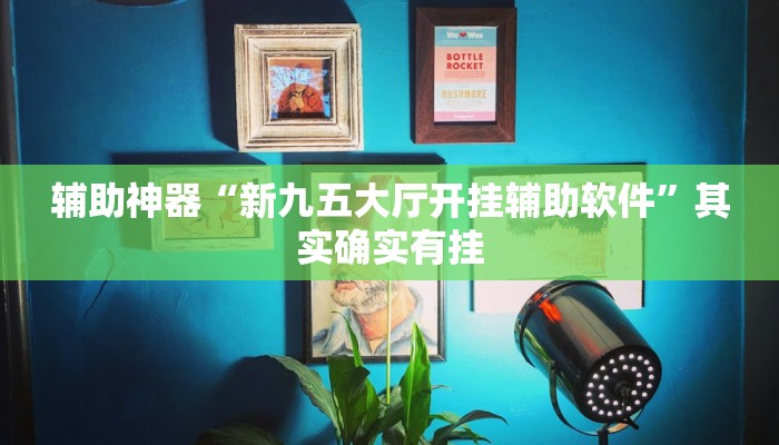 辅助神器“新九五大厅开挂辅助软件”其实确实有挂